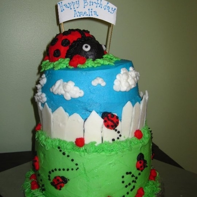First Birthday Lady Bug Cake