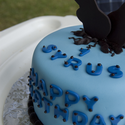Rock Star Smash Cake