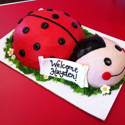 Ladybug Baby Shower