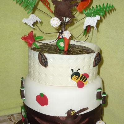 Kiwiana Birthday Cake!