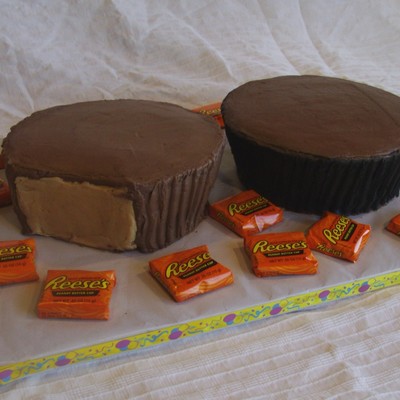 Pb Cup