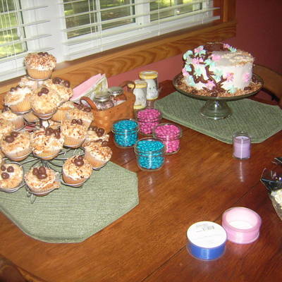 Welcome To The Nest!