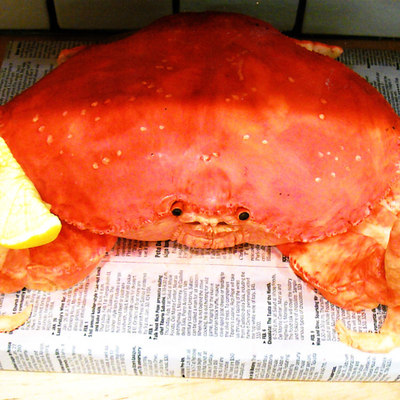 Crab Cake (With A Squeeze Of "lemon")