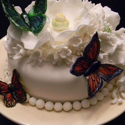 Butterfly Garden In White