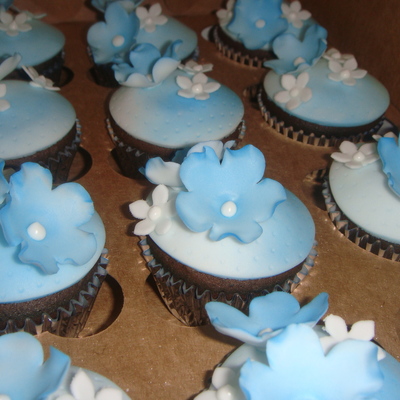 Blue Cupcakes
