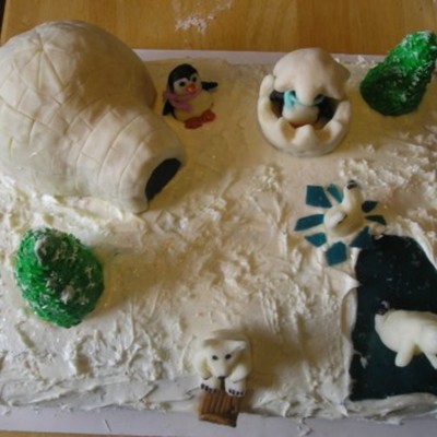 Winter Birthday Cake