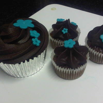 Chocolate Cupcakes-Junior And Senior