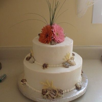 Gerber Daisies And Seashells