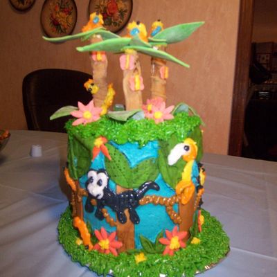 Rainforest Cake
