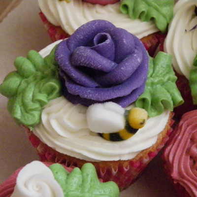 Olivia's Birthday Surprise