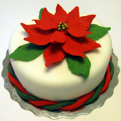 Poinsettia