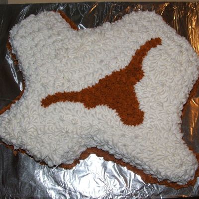 Texas Longhorn Cake