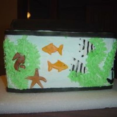 Fish Tank