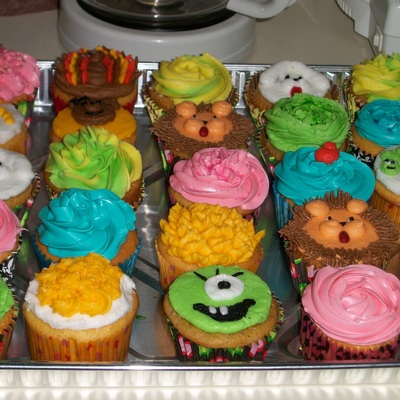 Wilton Cupcake Class