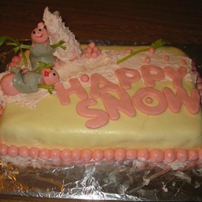 First Cake Attempt