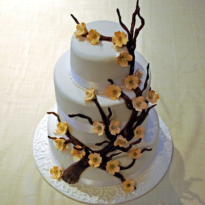 Apple Blossom Wedding Cake