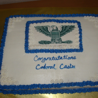 Usaf Colonel Promotion Cake