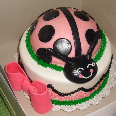 Pink Ladybug