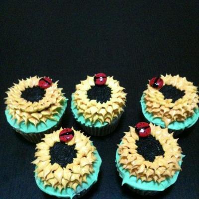 Sunflower Cupcakes