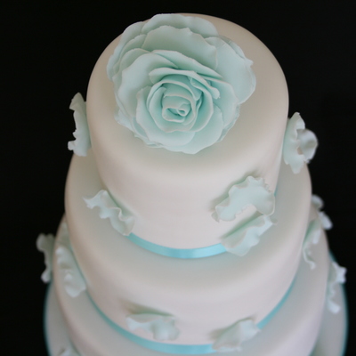 Rose And Rose Petals