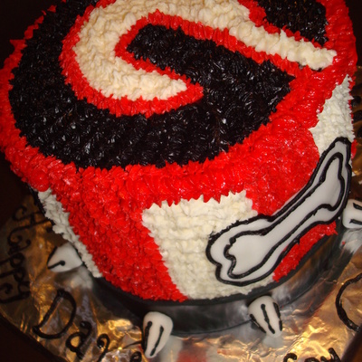 Georgia Bulldogs Birthday Cake