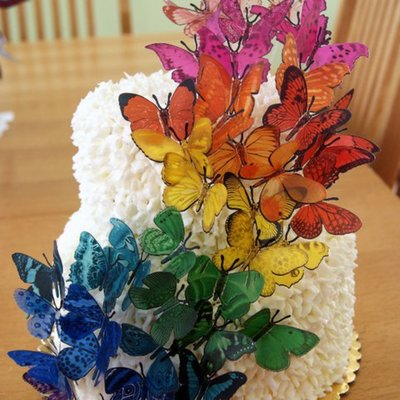 Butterfly Cake