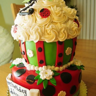 Ladybug Cupcake/cake