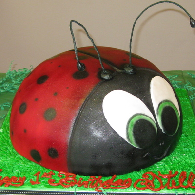 Ladybug B-Day Cake