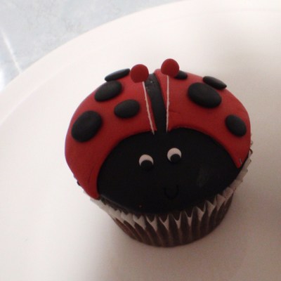 Lady Bug