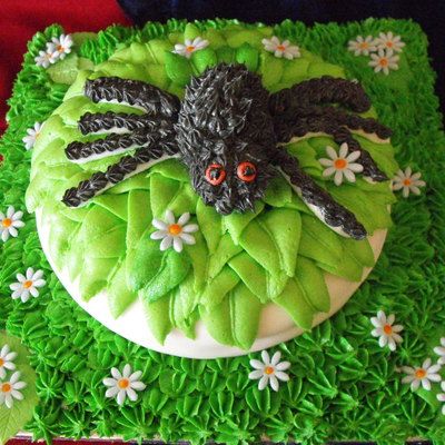 Spider Cake