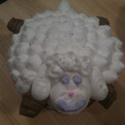 Sheep