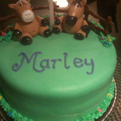 Horse Birthday Cake