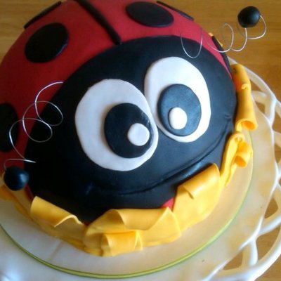 Ladybug Birthday