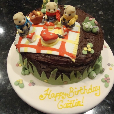 Sylvanian Families Picnic