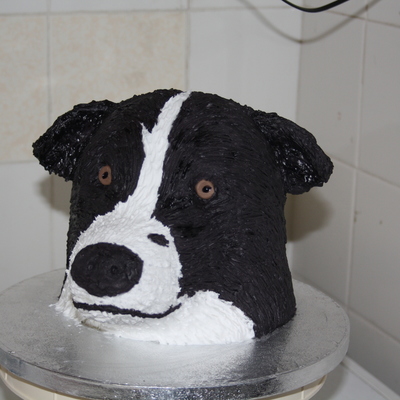 3D Border Collie Dog Cake