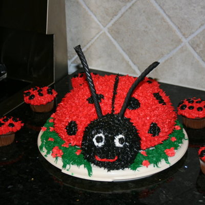 Ladybug Cake