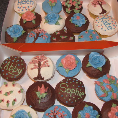 Pink And Blue Cupcakes