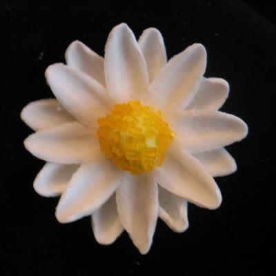 Gumpaste Daisy