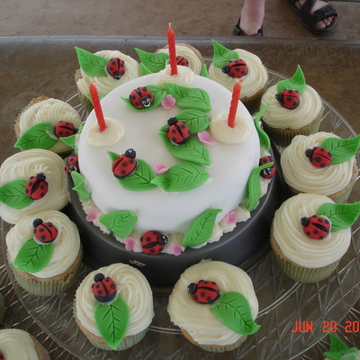 Lady Bug Cake And Cupcakes