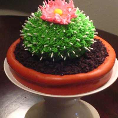 Cactus Cake