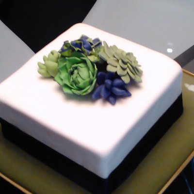 Succulent Cake