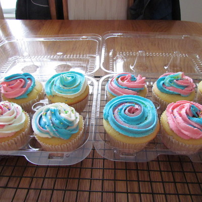 Pastel Cupcakes