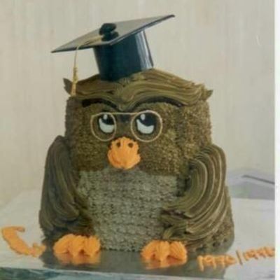 3D Owl