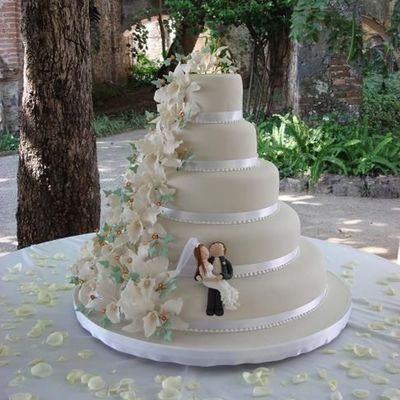 Modulescopperminealbumsuserpics92183Publicecilia Smalljpg