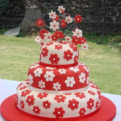 Red And White Flowers