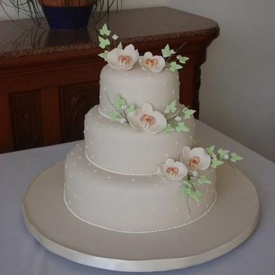 Modulescopperminealbumsuserpics92183Feb272009 022 Smalljpg