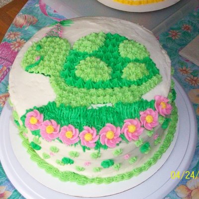 Turtle Birthday Cake