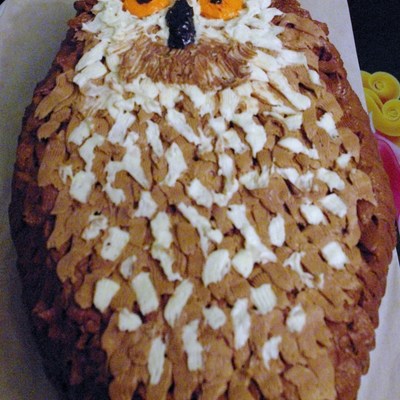 Owl