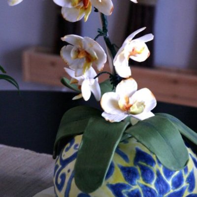 Orchids In Vase