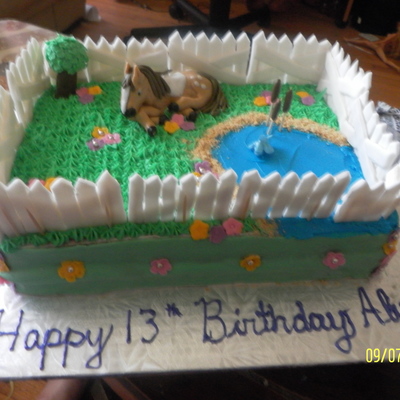 Birthday Cake For A Horse Lover